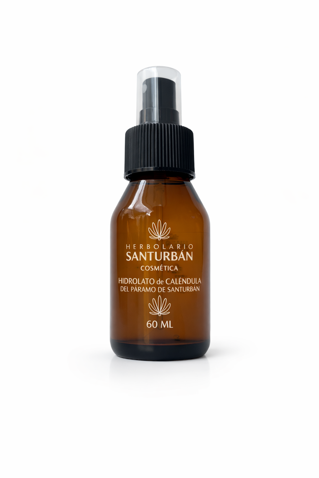 Bruma de Caléndula del Páramo de Santurbán